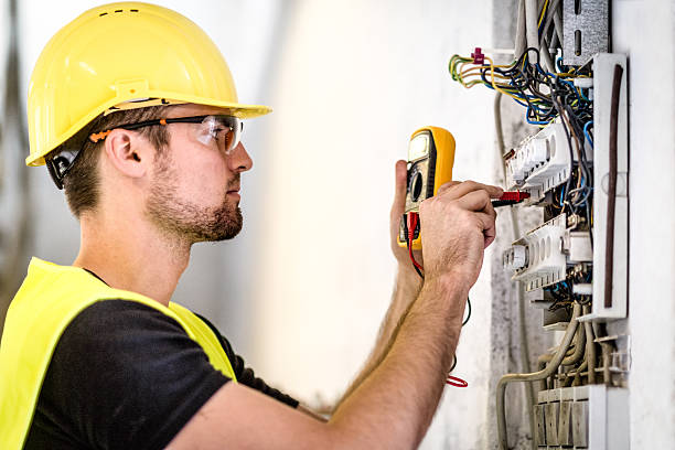 Best Surge Protection Installation  in Lamont, MI